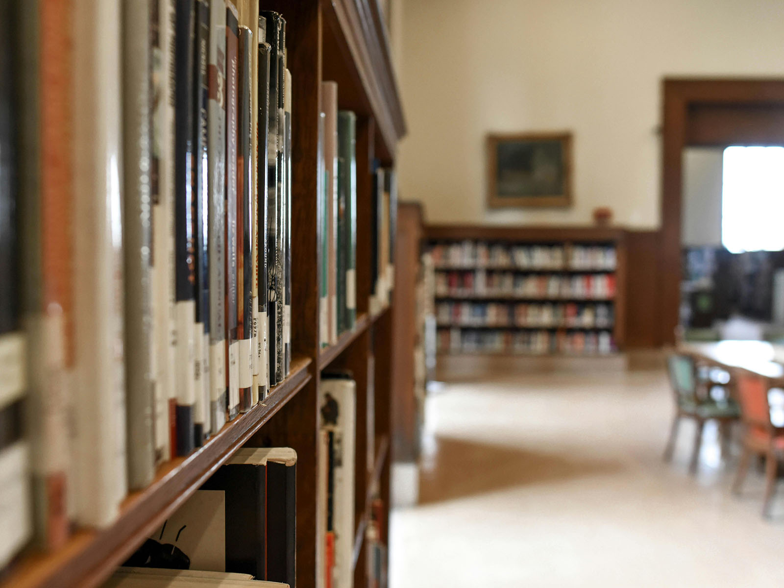 Warren UC - Private International College Consulting - Discovering Hidden Gems Among U.S. Universities blog post - Close up of books on library shelves - Pexels Element5 Digital