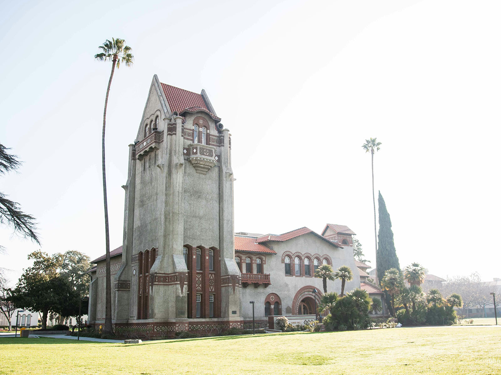 Warren UC - Private International College Consulting - Students Paid Thousands for a Caltech Boot Camp. Caltech Didn’t Teach It post - University tower building with palms - Pexels Haley Tang